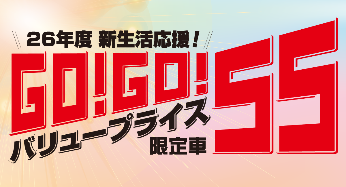 55バリュープライス限定車